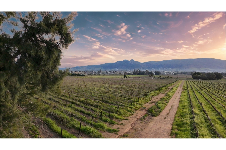 0 Bedroom Property for Sale in Paarl Rural Western Cape